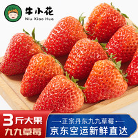 九九草莓丹东特产 红颜草莓新鲜水果现摘现发 果园直发 3斤家庭装（净重2.8斤）