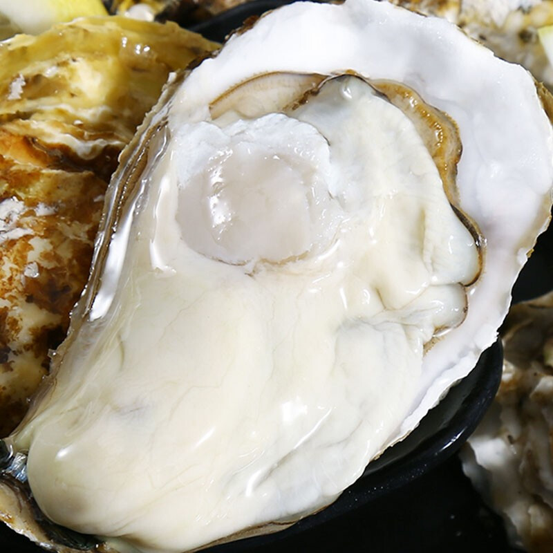 九能乳山生蚝鲜活特大牡蛎生鲜贝类新鲜海蛎子清蒸小肥蚝带壳生蚝肉