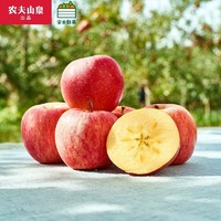 NONGFU SPRING 农夫山泉 17.5度 阿克苏苹果 15枚