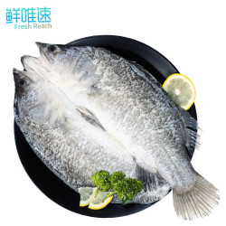 鲜唯速金目海鲈鱼500g