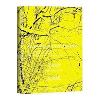 《甲骨文丛书·文明中的疯癫:一部关于精神错乱的文化史》