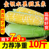 中鲜生 云南金银水果玉米10斤新鲜生吃甜玉米棒子粒现摘糯黏苞谷蔬菜包邮