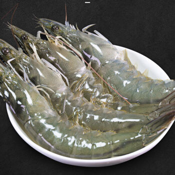 生鲜海鲜批发基围虾鲜活新鲜虾活虾子对虾海虾水产 4斤装 9-11厘米