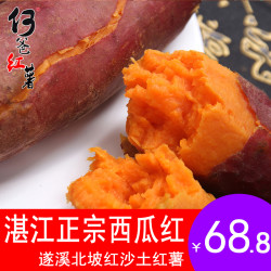 湛江地瓜山芋新鲜农家沙地红心蜜薯糖心西瓜红何爸红薯新鲜 10斤