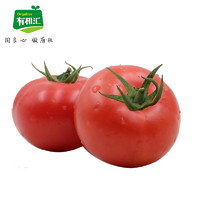 有机汇 西红柿5斤大番茄新鲜蔬菜 欧盟美国中国有机认证 自然熟满籽多沙 2.5kg