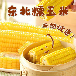鲜米哥 东北糯玉米 真空单独包装10根