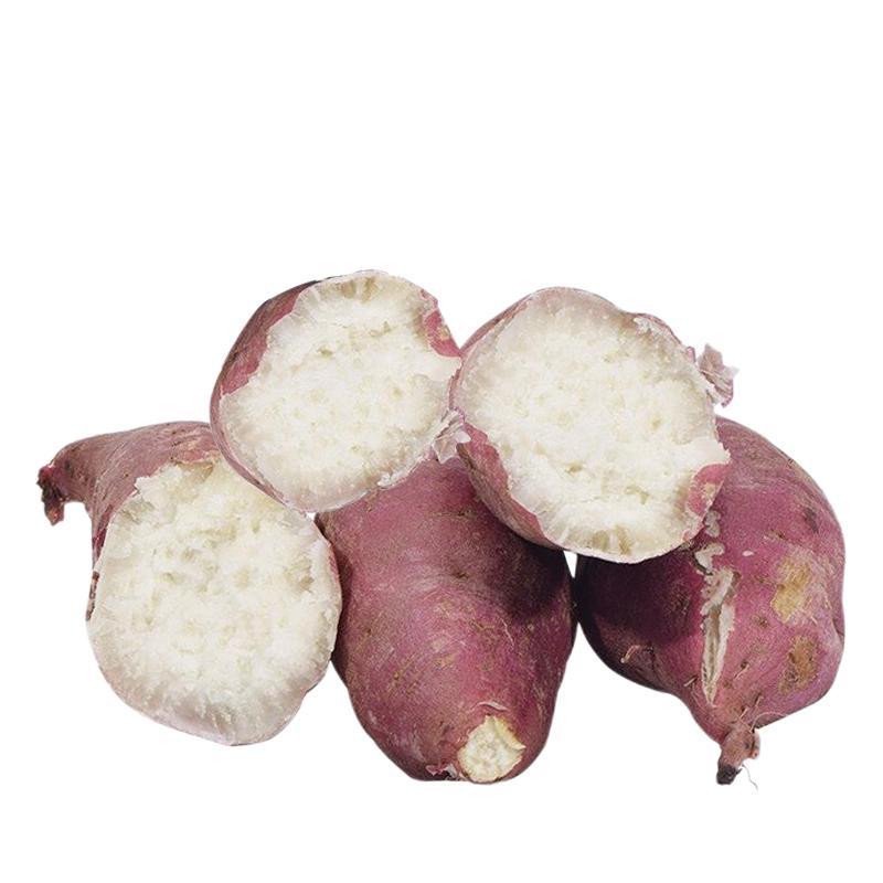 静益乐源 白心红薯 中大果 4.5kg