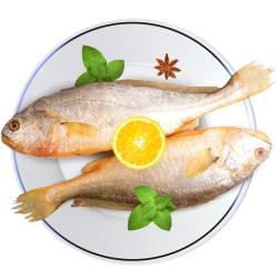 鲜味时刻 福建宁德大黄花鱼黄鱼 黄花鱼500g/条 新鲜冷冻海鲜水产生鲜