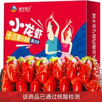 Sinoon Union 星农联合 十三香小龙虾 750g 4-6钱/17-25只 净虾500g 海鲜水产 礼盒
