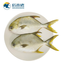 后水湾 国产海南冷冻无公害金鲳鱼700g/2条 远洋大牧场 bap认证 海鲜