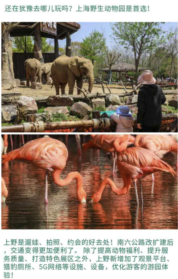 上海野生动物园大门票单日票成人票