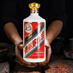 贵州茅台酒 飞天茅台系列 酱香型白酒
