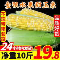 中鲜生 云南金银水果玉米10斤新鲜生吃甜玉米棒子粒现摘糯黏苞谷蔬菜包邮