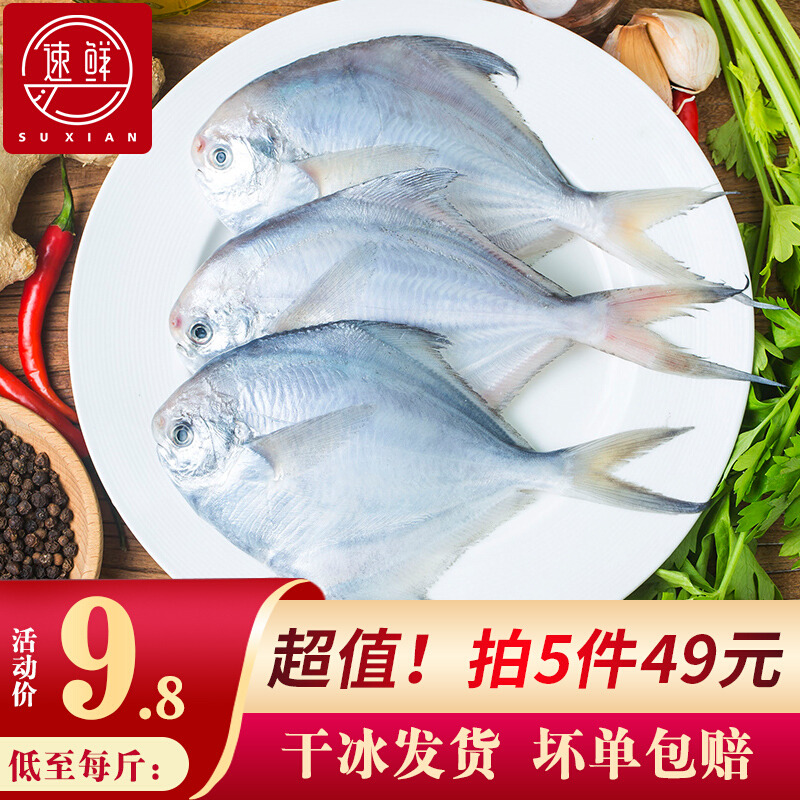 速鲜 冷冻新鲜小平鱼银鲳鱼烧烤 500g(5-7条)袋装国产海鲜生鲜鱼类海鲜水产