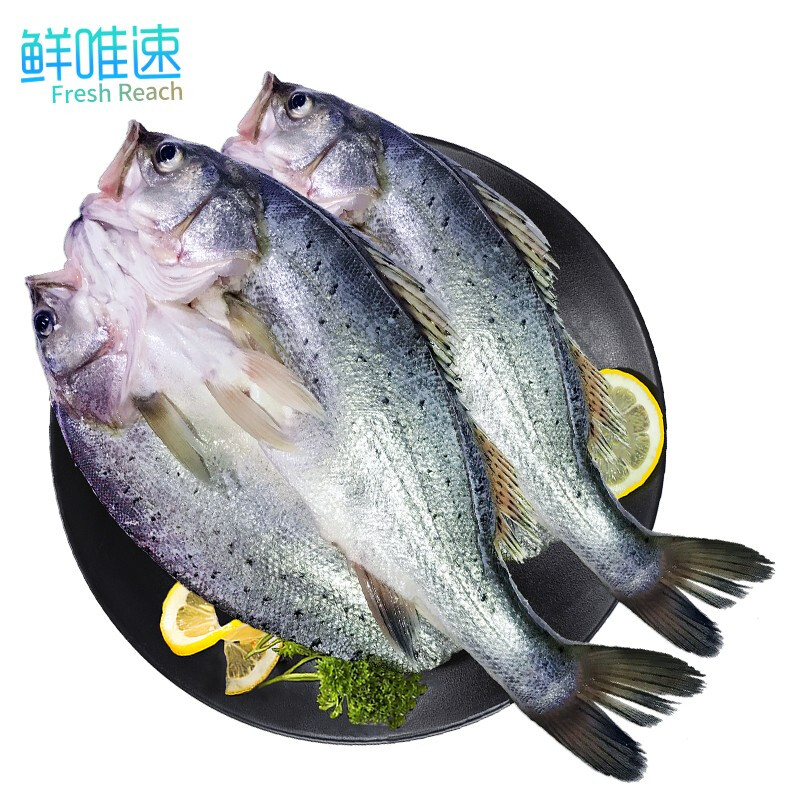 鲜唯速 珠海特产三去白蕉海鲈鱼700~800g(2条装)活鱼鲜冻 生鲜 鱼类 海鲜年货