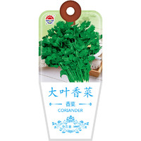 DS 北京东升种业（DS）蔬菜种子大叶香菜种子 四季蔬菜 家庭阳台 庭院种植300粒/袋