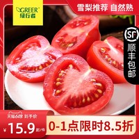 透心红番茄新鲜西红柿孕妇水果蔬菜小番茄自然熟5斤