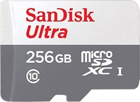 SanDisk 閃迪 適用于Fire平板電腦和Fire TV的256GB microSD存儲卡（SDSQUNB-256G-AZFMN）