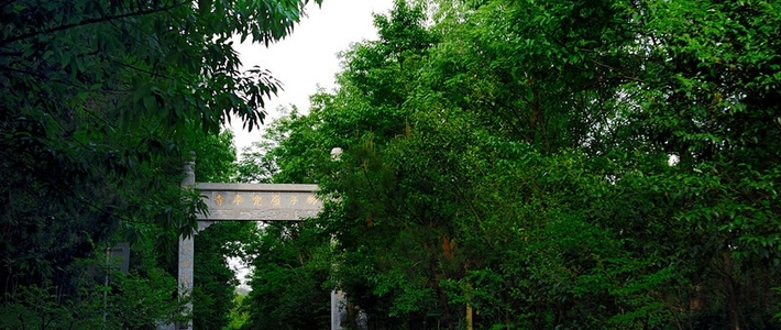 南京老山国家森林公园