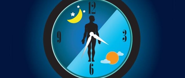 生物钟中文名生物钟别名生理钟英文名biochronometry,biological