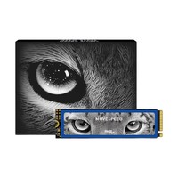 MOVE SPEED 移速 美洲豹 NVMe M.2 固態硬盤 512GB（PCI-E3.0）