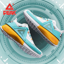 peak匹克态极20pro跑步鞋