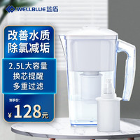 京東PLUS會員：LANDUN 藍盾 凈水壺自來水過濾凈水器2.5L（一壺一芯）