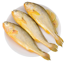寰球渔市 大黄鱼750g (1条)黄花鱼 鱼类 海鲜水产 烧烤食材