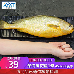 虾有虾途新鲜大黄花鱼海捕大黄鱼冷冻深海鱼生鲜鱼类顺丰冷链健康轻食