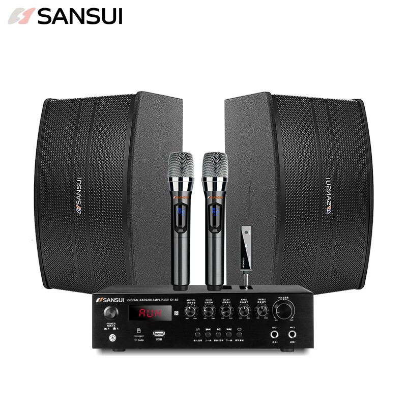 山水 sansui SP9-06 家庭KTV音响套装专业卡拉ok功放会议卡包音箱 黑色