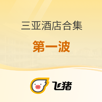 查漏补缺！飞猪双11 三亚酒店那些值得入