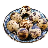 云依禾农庄 新鲜生鹌鹑蛋 鹌鹑蛋火锅食材 营养辅食 鹌鹑蛋50枚