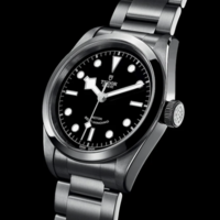 TUDOR 帝舵 碧湾系列 41毫米自动上链腕表 M79540-0006