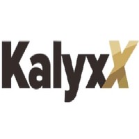 KalyxX/卡力克思