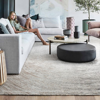 Dammi 進口地毯客廳臥室北歐現代簡約美式輕奢高級地墊茶幾床邊毯