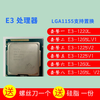 Int E3-1265L V2 CPU E3-1220 E3-1225 V2 E3-1260L E 套餐一