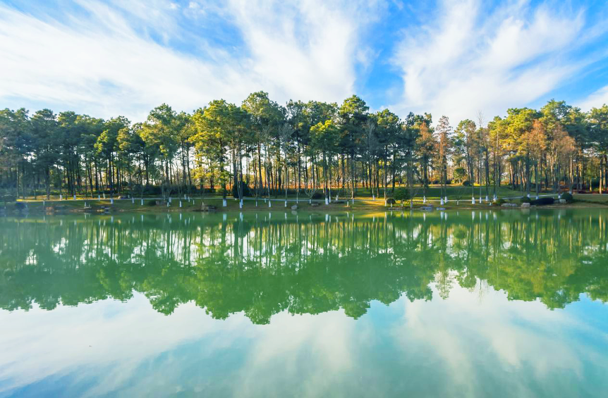 南京高淳开元芳草地乡村酒店