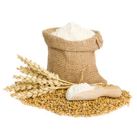 黄河畔 小麦面粉馒头粉饺子白面粉小麦粉 5斤装
