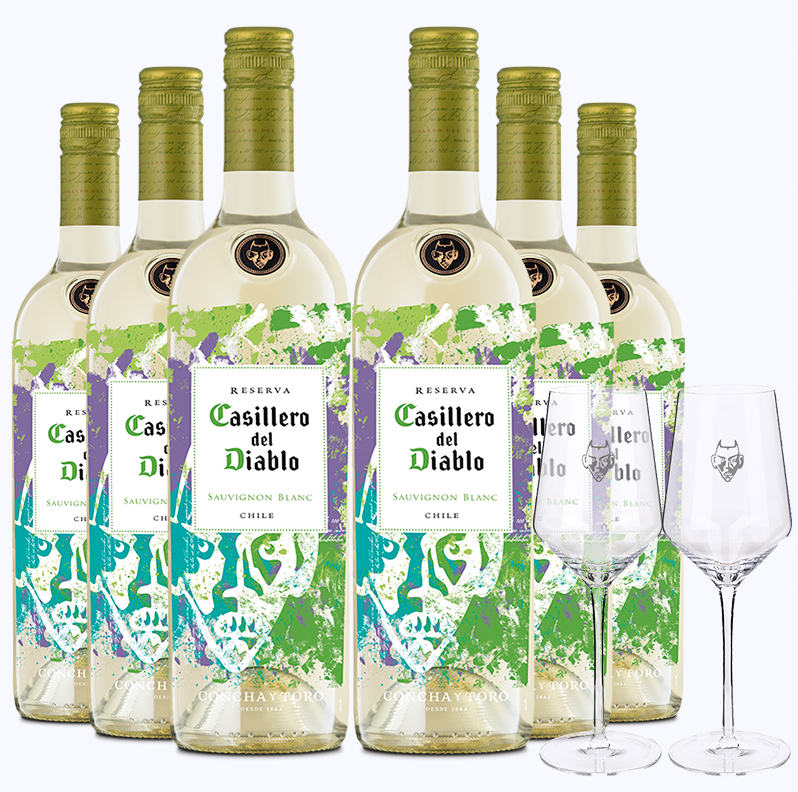 Casillero del Diablo 红魔鬼 尊龙系列 长相思白葡萄酒 750ml *6瓶整箱装