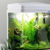 JEBO SICCE魚缸家用客廳辦公室金魚缸中小型玻璃魚缸