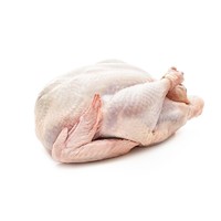 DOYOO 大用 农家白羽鸡750g/只冷冻食品生鲜鸡肉禽肉