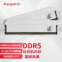 Asgard 阿斯加特 16GB(8Gx2)套装 DDR5 5200 台式机内存条 弗雷系列-钛银甲