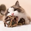 派樂特 貓玩具逗貓自嗨貓薄荷球幼貓成貓咪磨牙棒木天蓼玩具 木天蓼貓薄荷球