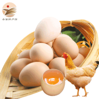 储山 岳西馆 储山 农家鲜鸡蛋 农村粮食喂养新鲜柴鸡蛋 20枚初鸡蛋