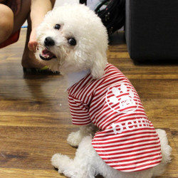 贝尼宠狗衣服泰迪衣服比熊狗衣服柯基狗衣服小型犬宠物衣服王子衫男款