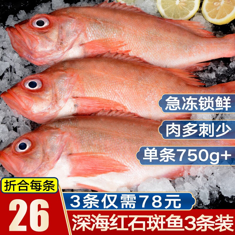 鲜拔头筹 红石斑鱼3条装 4.5斤 大眼鱼富贵鱼深海鱼 海鲜水产 3条  4.5斤