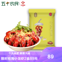 五个农民 正宗盱眙红胖胖小龙虾 麻辣 蒜香 1000G*2盒