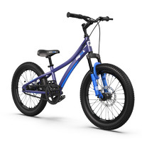 RoyalBaby 優貝 探險家兒童自行車 深藍色 20寸