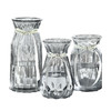若花 玻璃花瓶透明水培養富貴竹百合花北歐花瓶客廳插花擺件