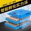 暖福寶 孵化器家用小型全自動孵化機智能可孵小雞的機器迷你孵蛋器孵化箱 9枚單電
